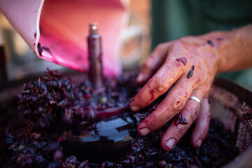 Natural Winemaking