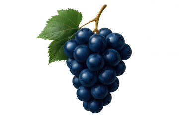 Fototapeta premium Ripe, succulent grapes hanging near verdant leaf, glistening with freshness against transparent backdrop