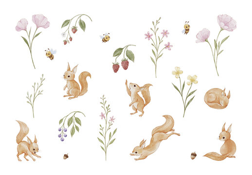 Watercolor woodland squirrel clipart set with autumn leaves, acorns, mushrooms and forest elements, hand-painted cute animals for nursery decor, kids products, invitations, posters, and apparel
