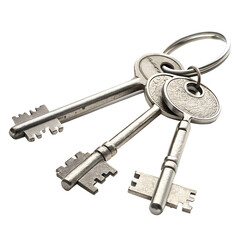 Antique skeleton keys on a ring