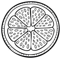 Black and white line art illustration of a citrus fruit slice cross section