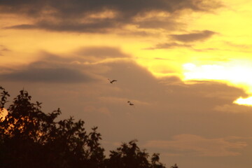 sunset in the clouds