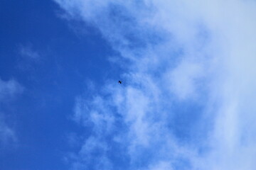airplane flying in the blue sky