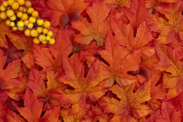 Fall Leaves autumn season background