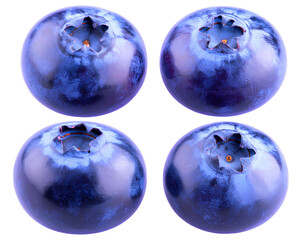 blueberries isolated on white png image