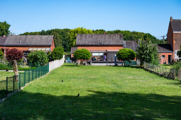 Obraz premium Large green backyards of stand alone houses in the rural suburbs of La Louvière, Hainaut, Belgium