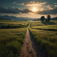 Naklejka premium A dirt path winds through a grassy field towards the setting sun, creating a tranquil rural landscape at dusk