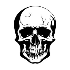 Dark outline skull graphic transparent background