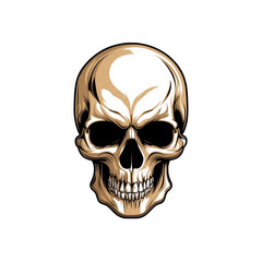 Obraz premium Detailed illustration of a human skull transparent background