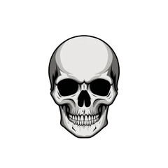 Obraz premium Detailed skull illustration transparent background graphic design