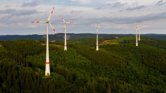 a forest wind park from above