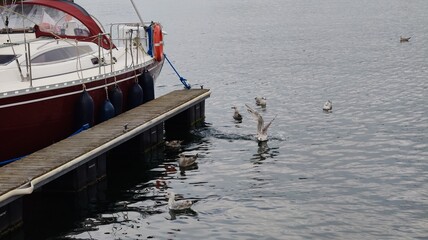 Obraz premium boat on the water