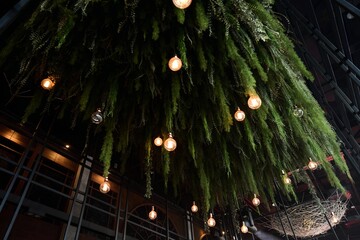 Naklejka premium Modern Interior with Hanging Plants and Edison Lights