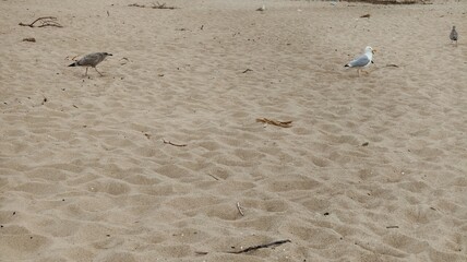 footprint on the sand