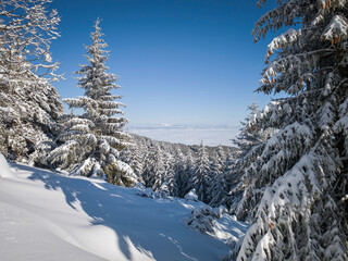 Landscape of Vitosha Mountain, Bulgaria