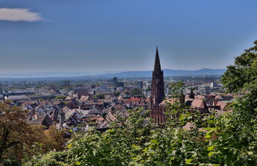 Die Altstadt von Freiburg im Breisgau im Sommer