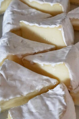 White mold Brie cheese on a board