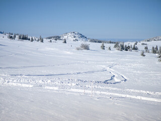 Landscape of Vitosha Mountain, Bulgaria