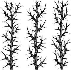 Detailed line art of twigs and thorns vine stems illustration. Outline Simple Stylized plants. Set of branches, leaves. Seamless doodle floral pattern. Hand drawn Botanical drawing, frieze. 