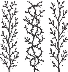 Detailed line art of twigs and thorns vine stems illustration. Outline Simple Stylized plants. Set of branches, leaves. Seamless doodle floral pattern. Hand drawn Botanical drawing, frieze. 