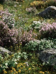 Obraz premium wildflowers like goldmoss stonecrop and basil thyme create a picturesque scene in a meadow with a beautiful copy space image