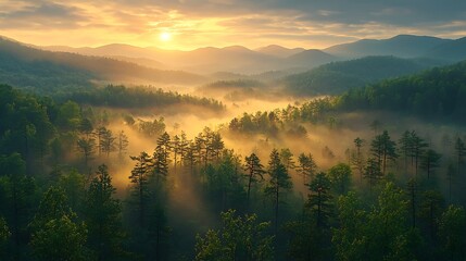 A breathtaking aerial view of a misty forest valley at sunrise.