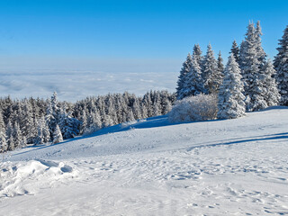 Landscape of Vitosha Mountain, Bulgaria