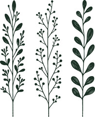 Black and White herbs. Stylized twigs plants. Set of branches doodle floral sketch Leaves border. Hand drawn Botanical drawing. Simple line art frieze, vine stems illustration. 