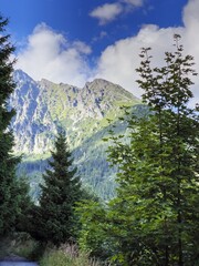 Landscape in the foothills of the Tatras. Mountain peaks against blue sky and clouds are visible through the branches of the trees.