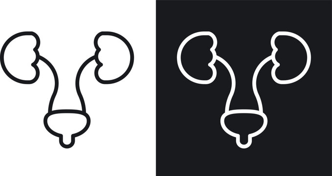 Urology icon line concept, linear symbol.