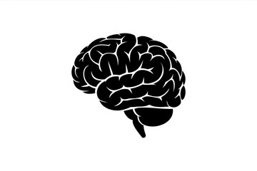Detailed Silhouette of Human Brain on White Background Illustrating Neurology and Cognitive Function with Artistic Simplicity