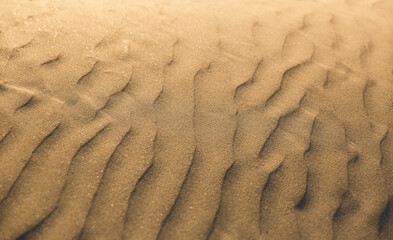 Sand texture in dunes close up