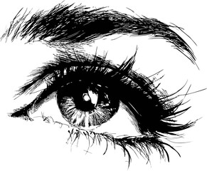 Fototapeta premium Intricate black and white sketch of a detailed human eye with lush eyelashes. Vector illustration