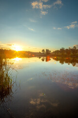A peaceful summer afternoon on a calm lake, with a bright blue sky and fluffy white clouds reflecting on the still water and a distant treeline