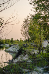 A scenic vertical shot of a calm lake and its shoreline, where a green hill with lush trees and bushes meets the pale sandy bank, all under a soft, glowing twilight sky, creating a peaceful and quiet 