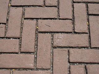 The pavers are the surface of the patio.