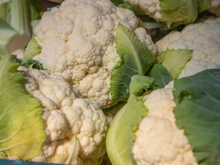 Fresh Cauliflower Displayed at a Local Market During the Morning Hours in a Vibrant Food Section