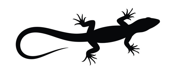 Naklejka premium Black silhouette of gecko lizard with spread fingers climbing on a surface