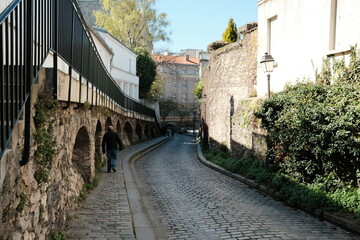 Charming European Cobbled Street with Historic Stone Walls and Lush Greenery in a Picturesque Alleyway