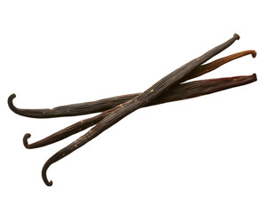 Obraz premium Dried vanilla beans isolated on white background rich in aroma and natural flavor 