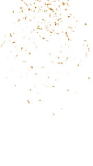 gold metallic confetti top falling isolated on transparent background, png golden birthday party and anniversary celebration overlay vertical social media design element	
