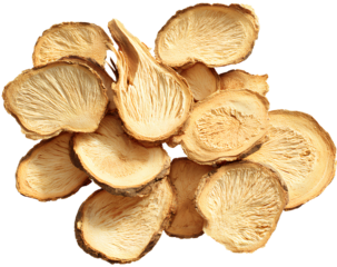  Dried astragalus root slices isolated on transparent background