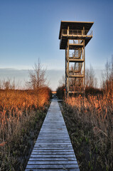 Przemkowski Park Krajobrazowy - wieża widokowa na bagnach przemkowskich. © Pol Badger