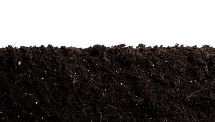 Fototapeta premium Dark soil pile against white background