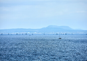 Numerous sailboats drift near the horizon with distant mountains and a coastal city in view, creating a layered seascape rich in atmosphere. regatta, panorama