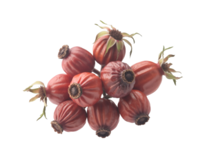 Dried rosehips close up isolated on white background herbal and nutritious superfood
