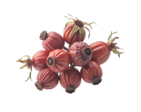 Dried rosehips close up isolated on white background herbal and nutritious superfood
