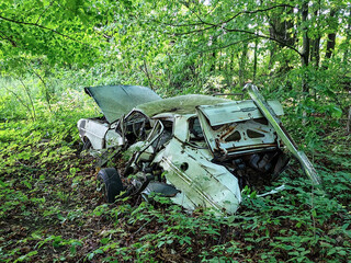 A rusted, smashed junk car abandoned in the woods at the back of a farm, slowly decaying among overgrown plants and trees.