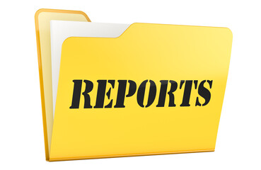 REPORTS, yellow file folder. 3D rendering