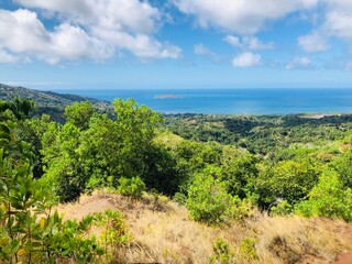 Faune et flore de l'île de Mayotte